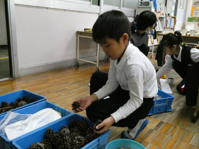 8c93b052-efc3-4bac-942f-1efe240d074f