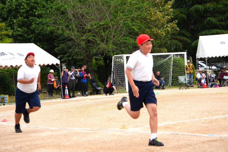 DSC00910 - コピー