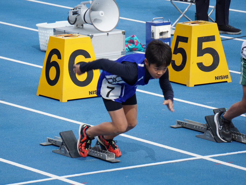 328e85f5-0700-4dec-a962-37dd92ee90a4