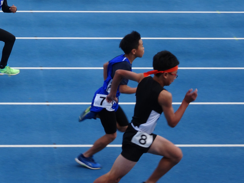 0c6cffd5-e0b2-4f9c-8203-593774848249