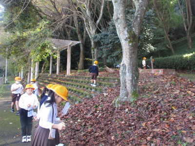 59164e55-bed1-45ec-b99c-bf88c28ee7dc