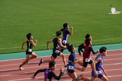 043fc00b-60b4-4695-b03b-a6240bd8c278