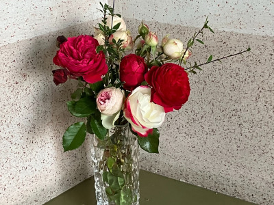 2ee564cf-fa68-48c7-a70c-7e13ecff955a