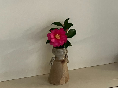 a6c1b485-3517-45ea-9f11-d1d483165ac2